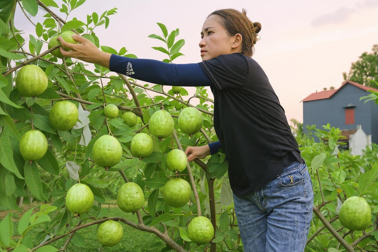 fruit picker