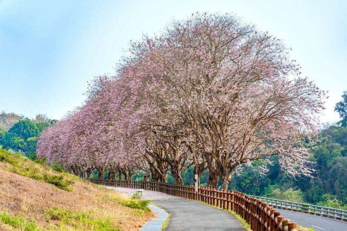 Attractions Tainan