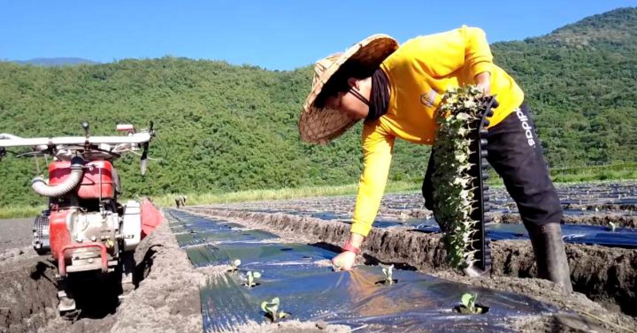 Filipino Young Farmers Internship Program