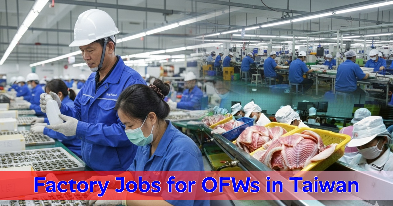 factory work roles